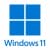 Windows 11 Professional
