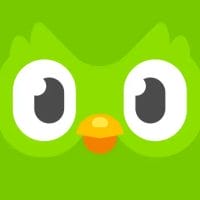 Duolingo للكمبيوتر