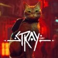 Stray للكمبيوتر